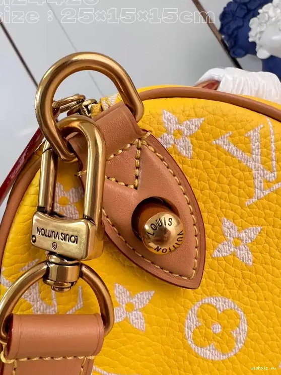 WIS VUITTON Speedy P9  Bandoulière LOUIS 25 0613